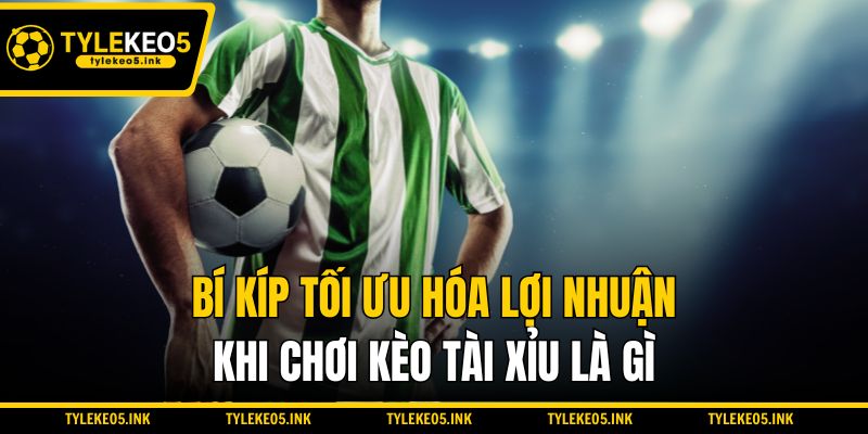 Bí kíp tối ưu hóa lợi nhuận khi chơi kèo tài xỉu là gì