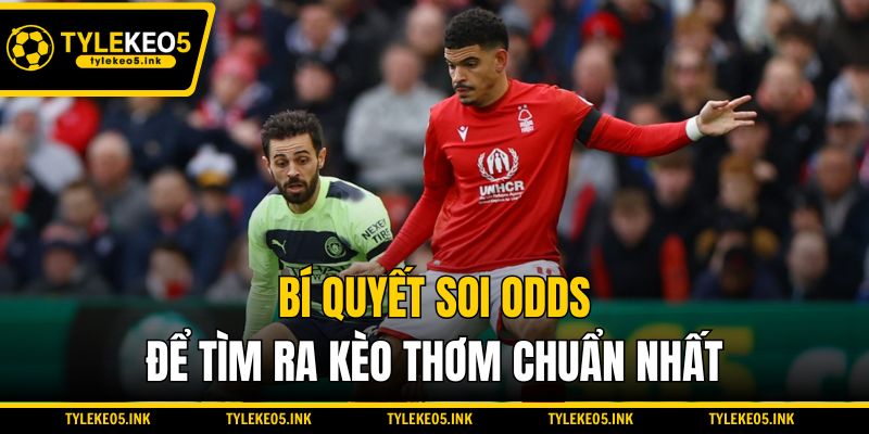 Bí quyết soi Odds để tìm ra kèo thơm chuẩn nhất