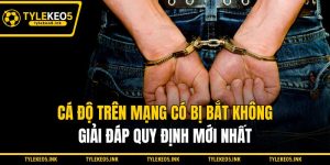 Cá Độ Trên Mạng Có Bị Bắt Không - Giải Đáp Quy Định Mới Nhất