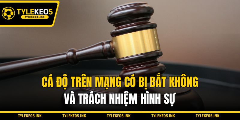 Cá độ trên mạng có bị bắt không và trách nhiệm hình sự