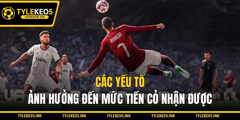 Các yếu tố ảnh hưởng đến mức tiền cỏ nhận được