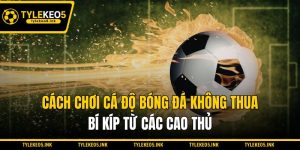 Cách Chơi Cá Độ Bóng Đá Không Thua - Bí Kíp Từ Các Cao Thủ