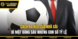 Cách Ra Kèo Của Nhà Cái - Bí Mật Đằng Sau Những Con Số Tỷ Lệ