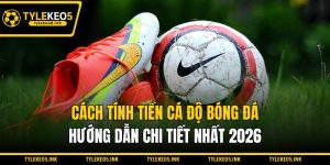 Cách Tính Tiền Cá Độ Bóng Đá - Hướng Dẫn Chi Tiết Nhất 2026