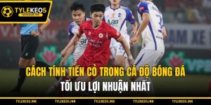 Cách Tính Tiền Cỏ Trong Cá Độ Bóng Đá Tối Ưu Lợi Nhuận Nhất