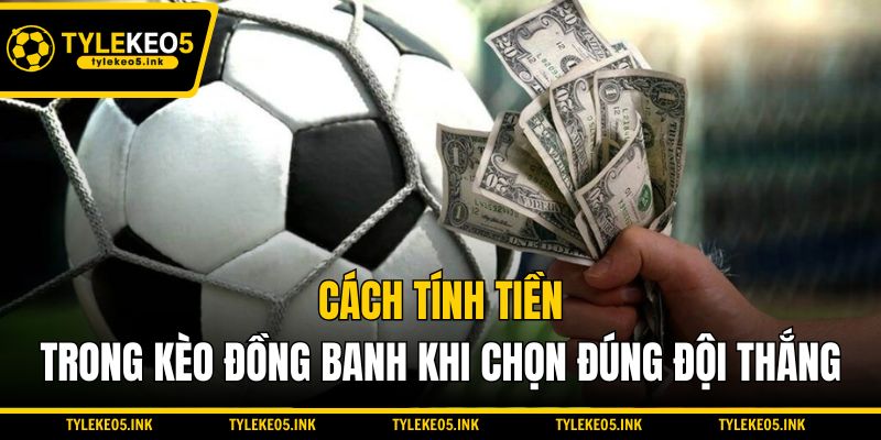 Cách tính tiền trong kèo đồng banh khi chọn đúng đội thắng