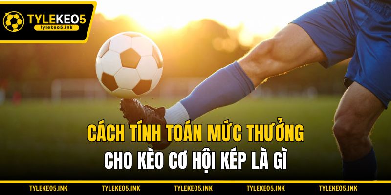 Cách tính toán mức thưởng cho kèo cơ hội kép là gì