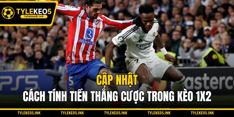 Cập nhật cách tính tiền thắng cược trong kèo 1x2