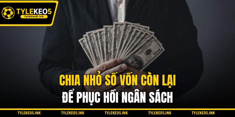 Chia nhỏ số vốn còn lại để phục hồi ngân sách