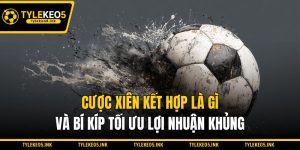 Cược Xiên Kết Hợp Là Gì Và Bí Kíp Tối Ưu Lợi Nhuận Khủng