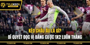 Kèo Châu Âu Là Gì? Bí Quyết Đọc Vị Bảng Cược 1x2 Luôn Thắng