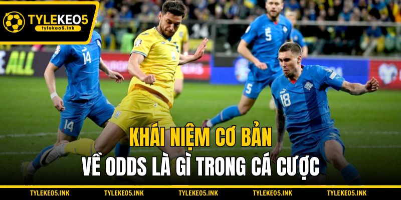Khái niệm cơ bản về Odds là gì trong cá cược
