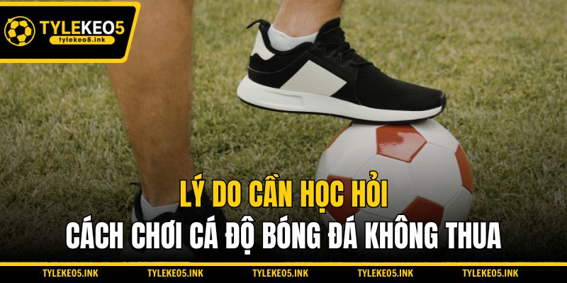 Lý do cần học hỏi cách chơi cá độ bóng đá không thua