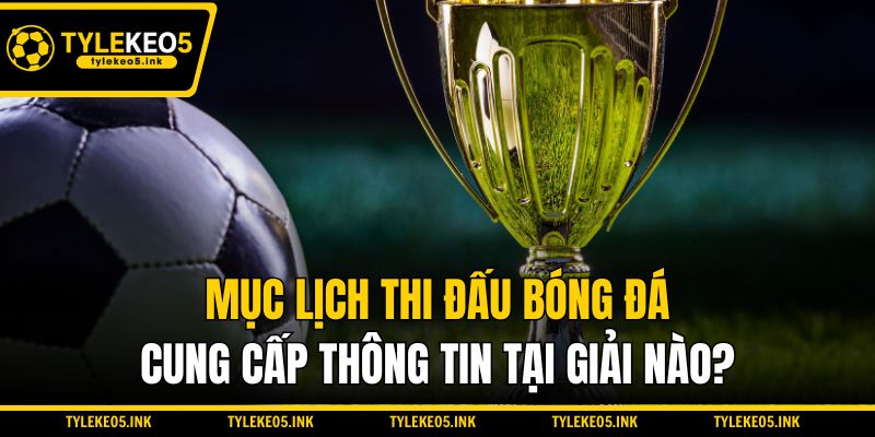 Mục lịch thi đấu bóng đá cung cấp thông tin tại giải nào?