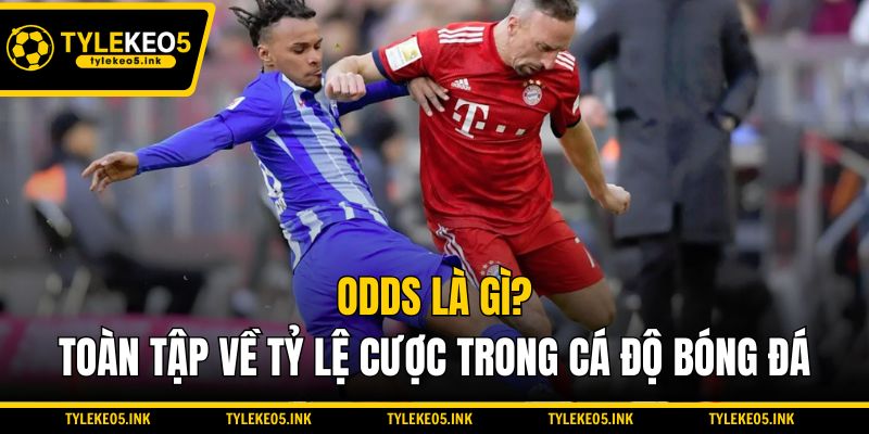 Odds Là Gì? Toàn Tập Về Tỷ Lệ Cược Trong Cá Độ Bóng Đá