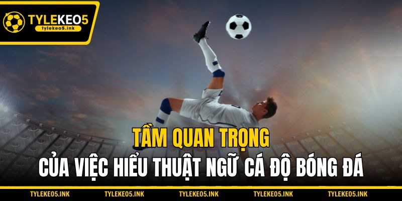 Tại sao phải nắm rõ các thuật ngữ cá độ bóng đá