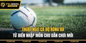 Thuật Ngữ Cá Độ Bóng Đá - Từ Điển Nhập Môn Cho Dân Chơi Mới