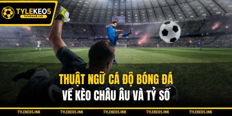 Thuật ngữ cá độ bóng đá về kèo châu Âu và tỷ số