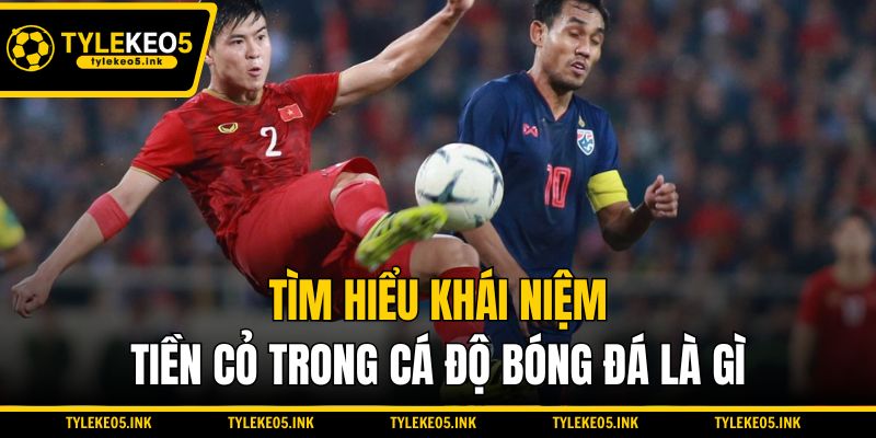Tìm hiểu khái niệm tiền cỏ trong cá độ bóng đá là gì