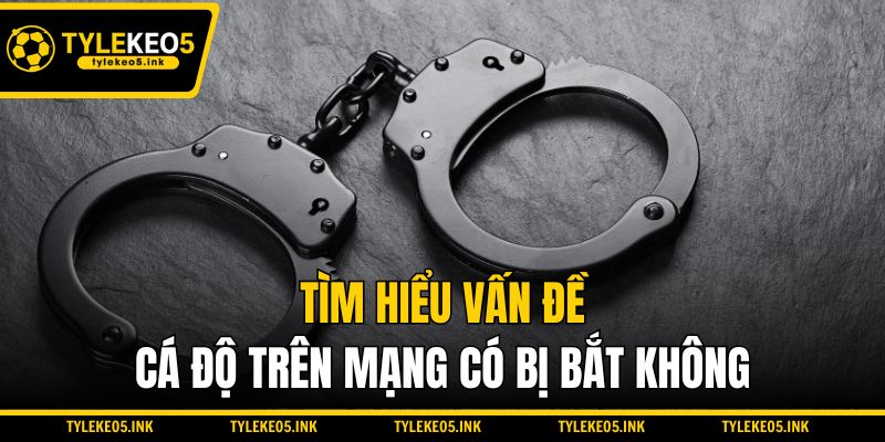 Tìm hiểu vấn đề cá độ trên mạng có bị bắt không