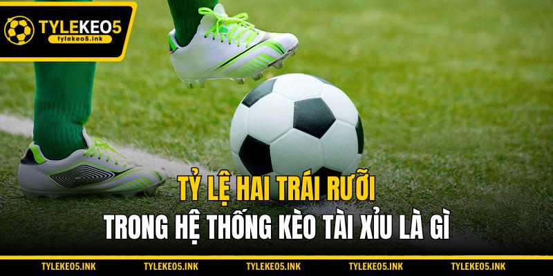 Tỷ lệ hai trái rưỡi trong hệ thống kèo tài xỉu là gì